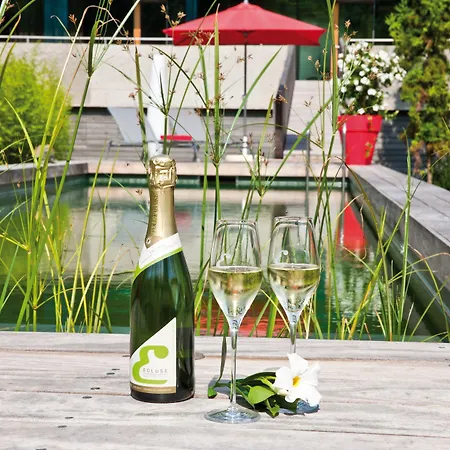 De L'ecluse Superior מלון