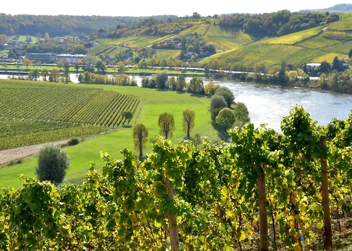 De L'ecluse Superior Stadtbredimus